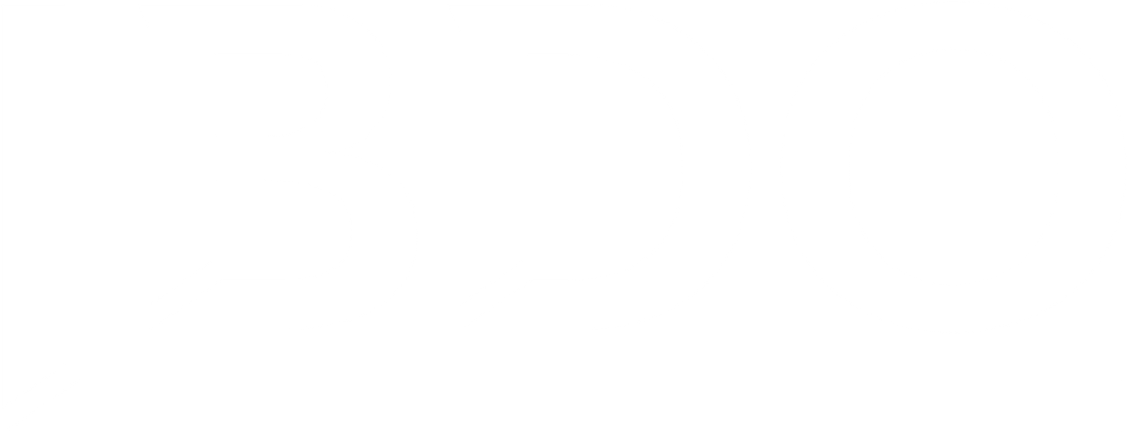 BDO_logo white.png